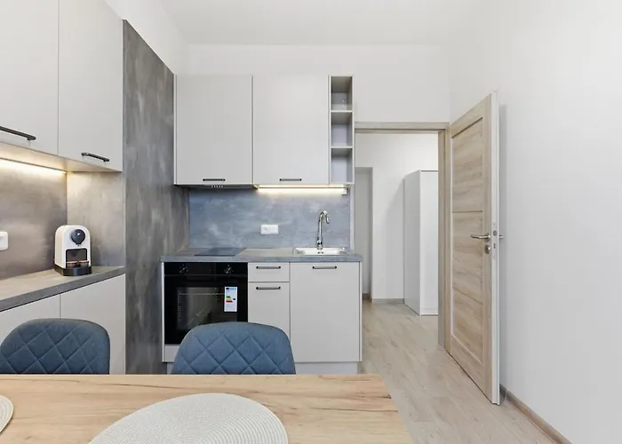 Lejlighed Near The Subway With Kitchen And Terrace Prag